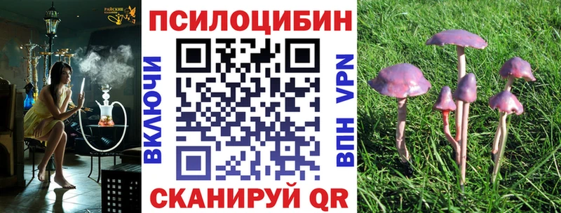 Галлюциногенные грибы прущие грибы Ужур