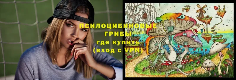 Псилоцибиновые грибы прущие грибы  blacksprut зеркало  Ужур 